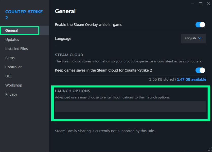 CS2 Launch Options